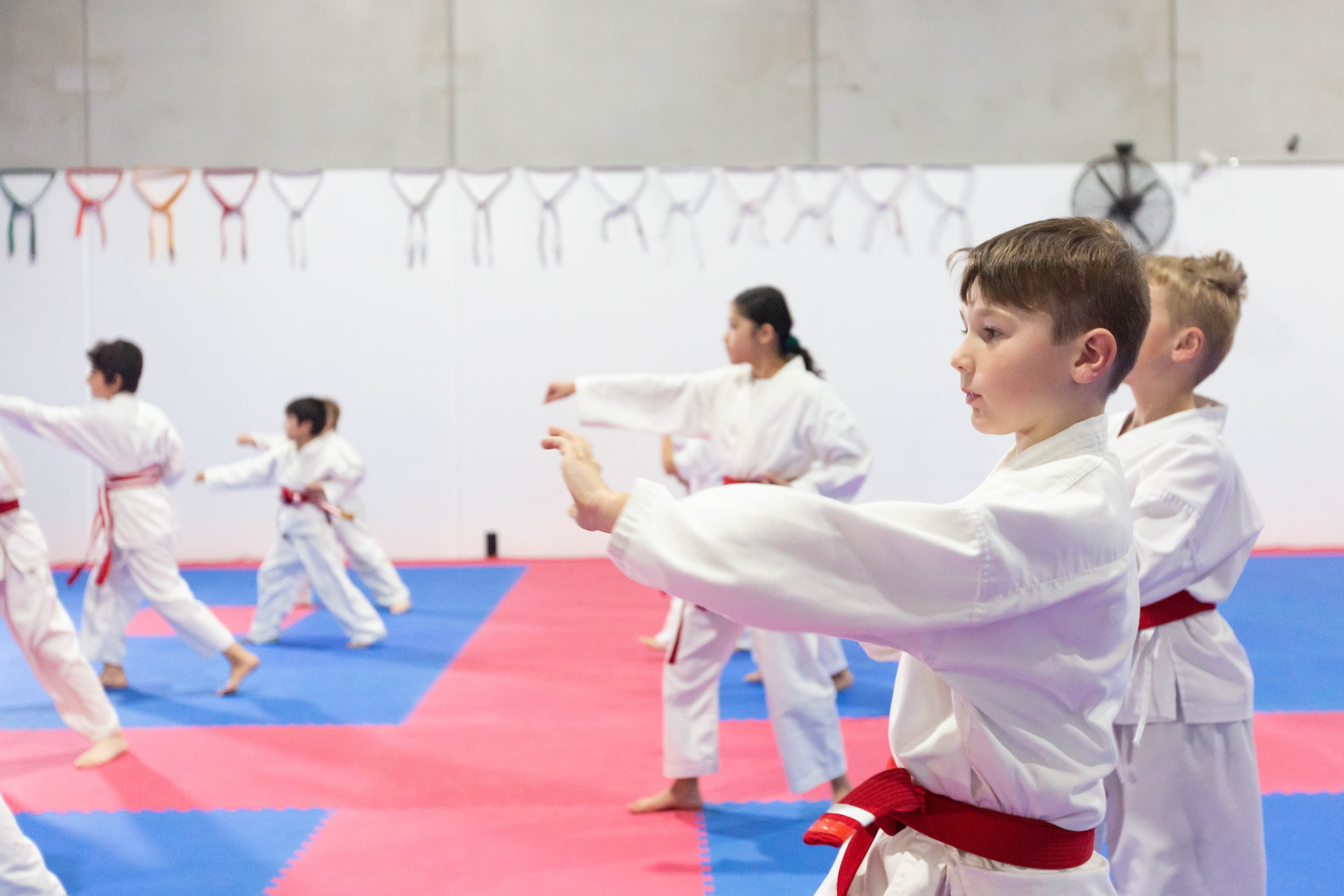 Junior Karate karate program